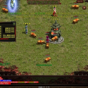 传世论坛-工具-教程