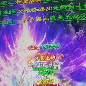 传世资源历史玩法新区上来就开杀看看我杀的人头-传奇世界论坛-45woool ...